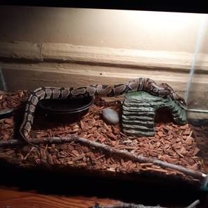 Meet your Posher, James